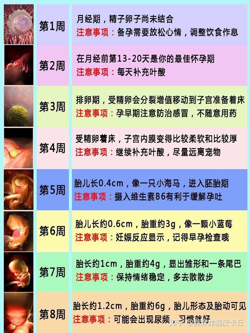怀孕初期注意事项