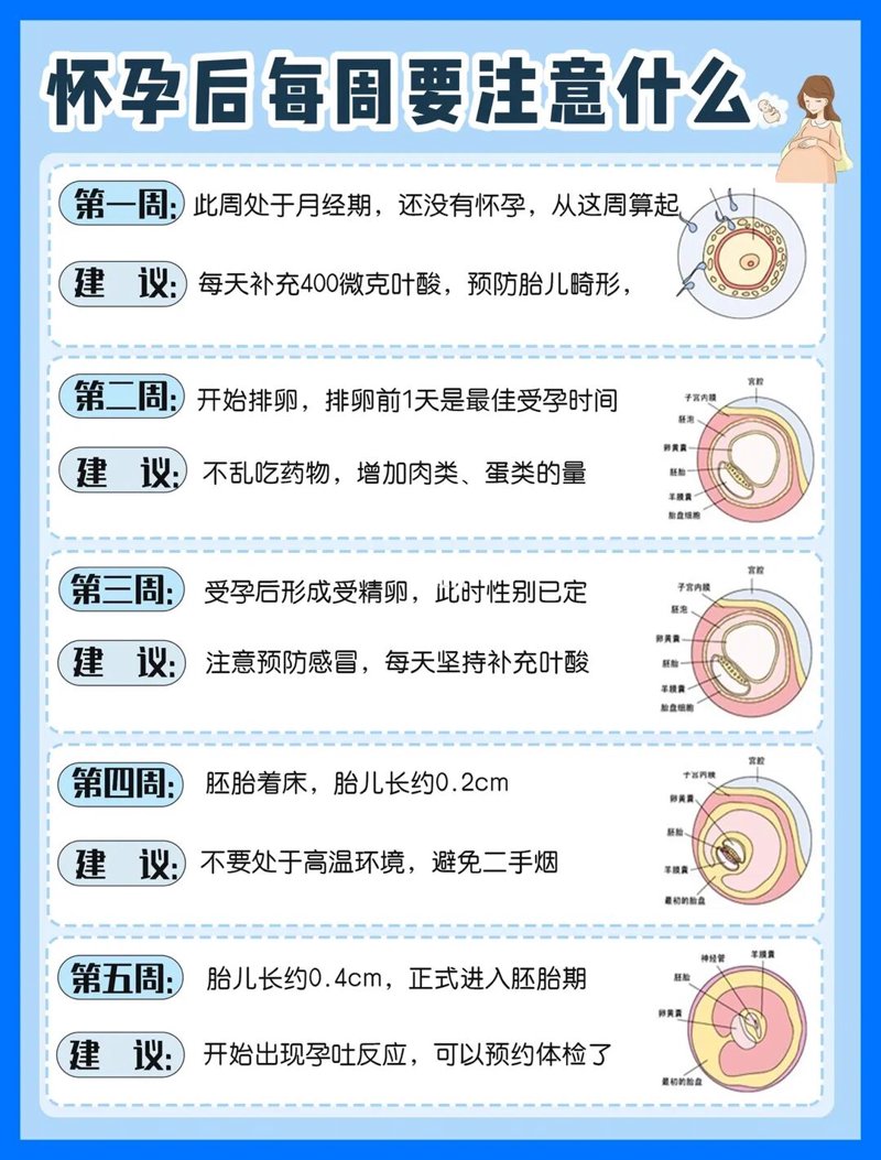 怀孕初期,新手爸妈必知的注意事项