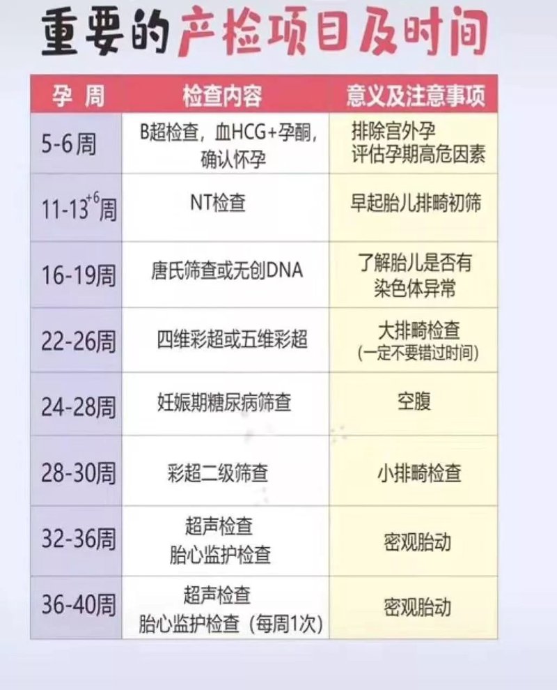 怀孕初期：新手妈妈必看的注意事项